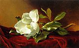 Martin Johnson Heade - A Magnolia on Red Velvet painting